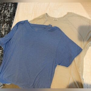 Lightweight Casual Blue and Beige Scoop Neck Tees - Set of 2